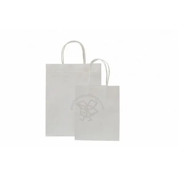 Eco-Kraft Paper Bag (White Kraft), 18 x 8 x 22cm (H)