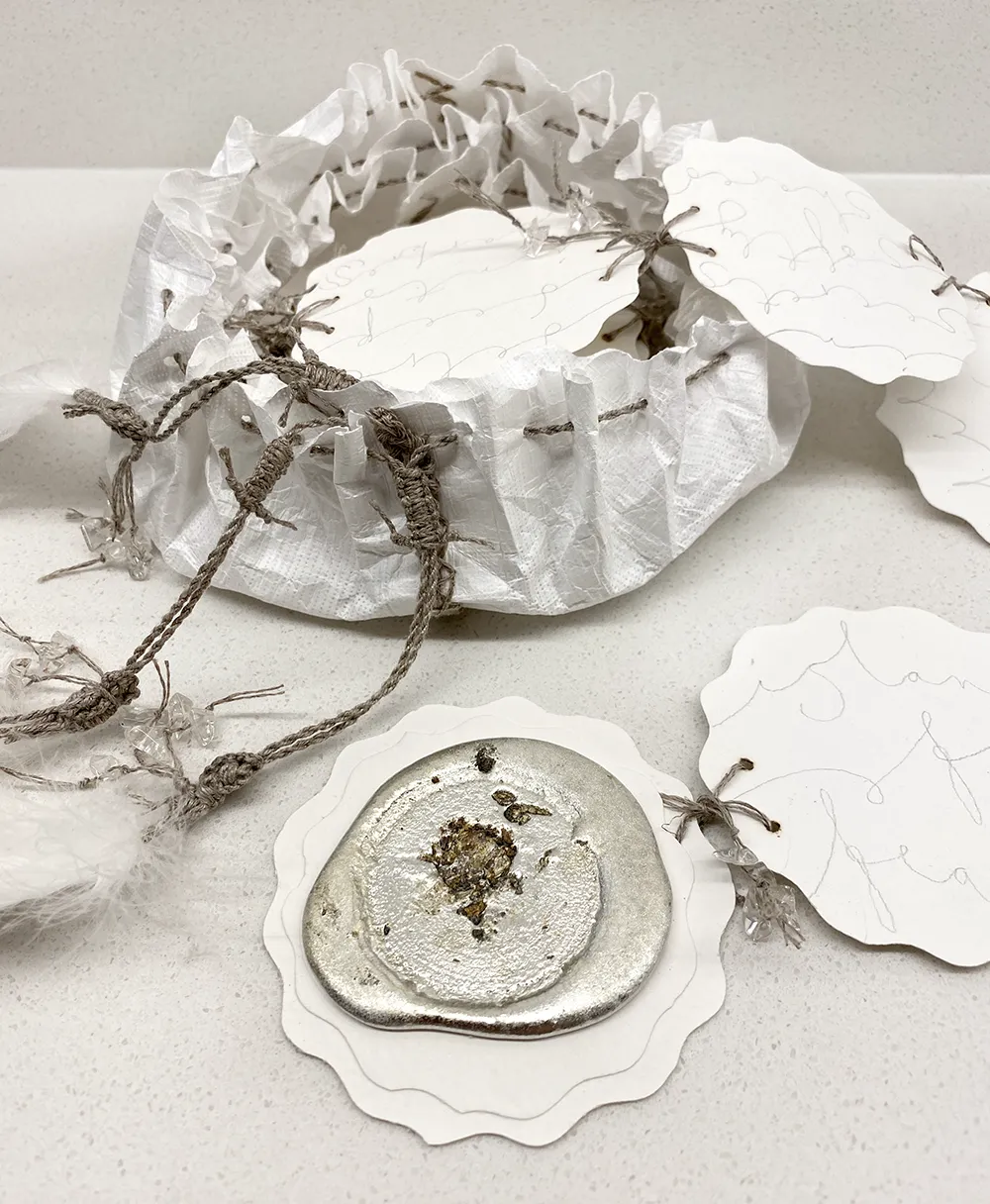 Island of Feathers by Mia Leijonstedt
